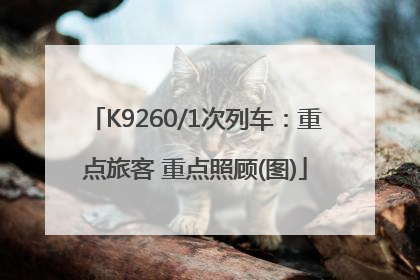 K9260/1次列车：重点旅客 重点照顾(图)